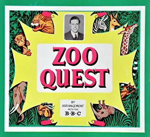 Rhino: Zoo Quest game