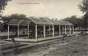 Cages: Zoological Gardens, Mysore, Karnataka, India