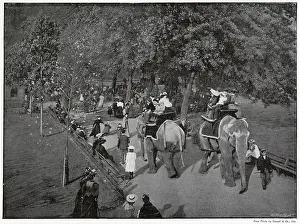 Zoos: Zoological Gardens, Riding Indian Elephants