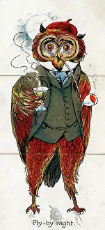 Misfitz: Zoological Misfitz - Fly-by-night Owl