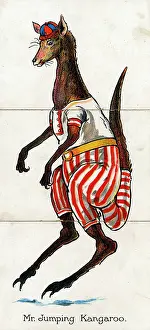 Humanised: Zoological Misfitz - Mr Jumping Kangaroo