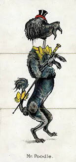 Humanised: Zoological Misfitz - Mr Poodle