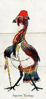 Humanised: Zoological Misfitz - Squire Turkey