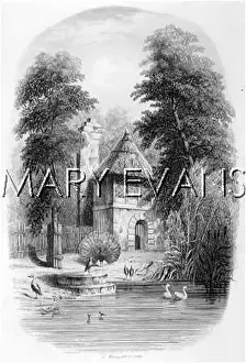 Acclimatation: ZOOS/PARIS/HERONRY
