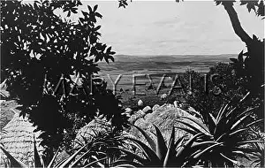 John Monck: ZULU HUTS, NATAL