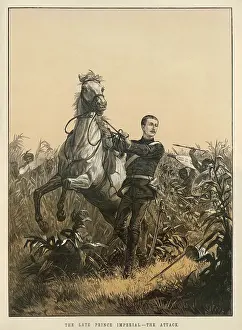 Zulus: ZULU WAR/PRINCE IMPERIAL