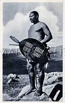 Anna Smith: A ZULU WARRIOR