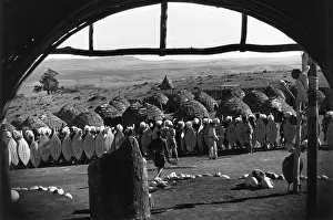 Exuberantly: Zulu Warriors/Standing Guard