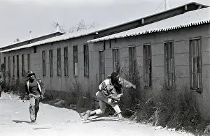 Assegais: Zulus, supporters of the Inkatha Freedom Party