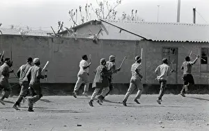 Assegais: Zulus, supporters of the Inkatha Freedom Party