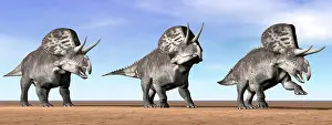 Ceratopsian: Three Zuniceratops standing in the desert