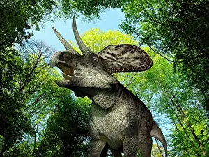 Zuniceratops: A Zuniceratops wanders a Cretaceous forest
