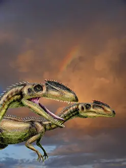Neotheropod: Zupaysaurus rougieri, a theropod dinosaur of the Jurassic ?